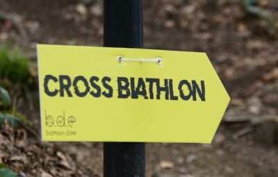 Illustration de la course